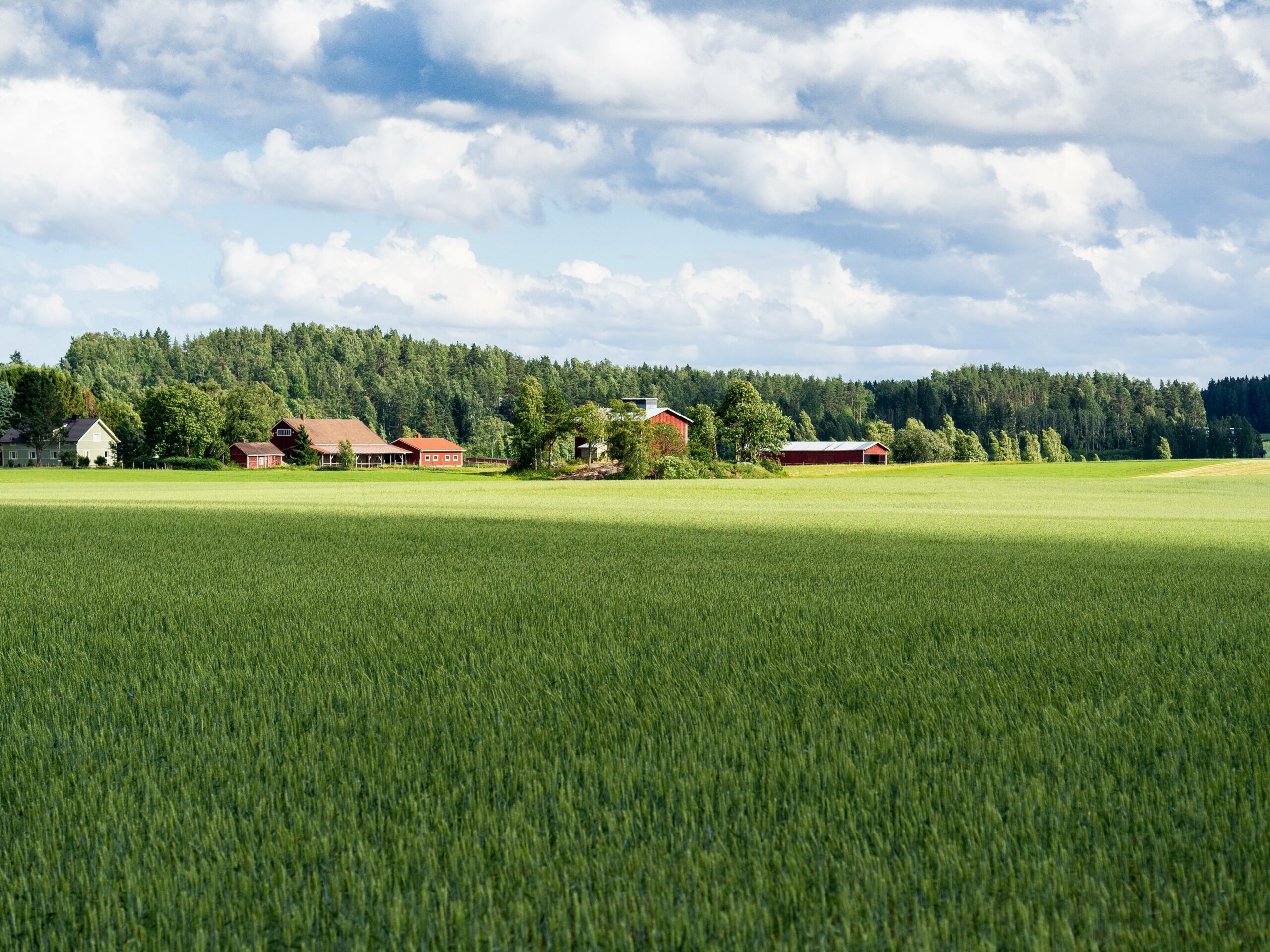 A scenic green field
